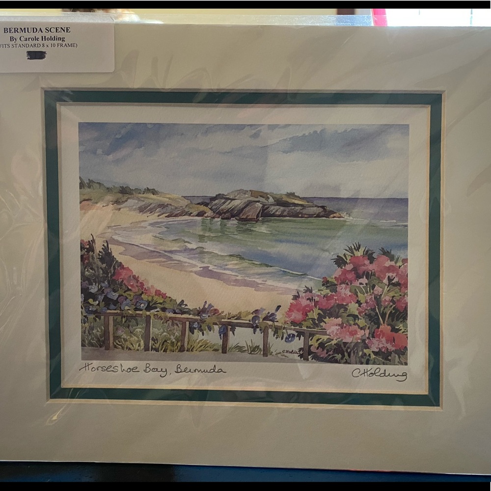Carole Holding Bermuda scene
